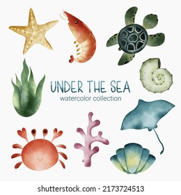 Set of watercolor cute animal and plant Marine life under sea vector illustration. Cartoon ocean marine scenes isolated for aquarium or undersea waters collection