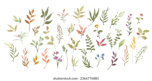 Set of watercolor decorative plant elements. Flowers, herbs, cereals, branches, leaves. Clipart isolate on a white background. Vector illustration.