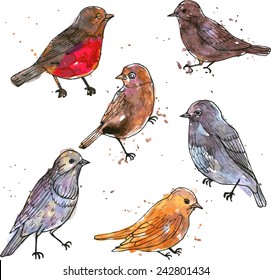 set of watercolor drawing birds with paint stains at white background, hand drawn vector illustration