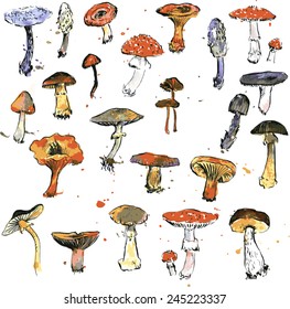 Set of watercolor drawing mushrooms, hand drawn vector illustration