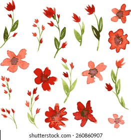 Set of watercolor drawing red flowers, vector illustration