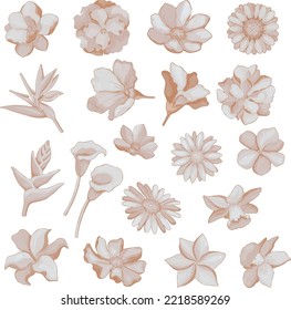 Set of Watercolor Dried Flower, Brown flora clipart