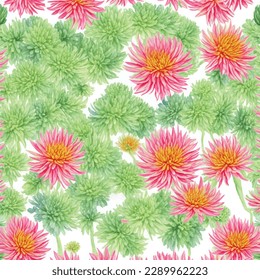 Set watercolor elements collection garden chrysanthemum flowers, leaves, branches, Botanic illustration isolated