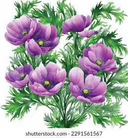Establecer elementos acuarelas colección jardín flores anémonas, hojas, ramas, ilustración botánica aislada en fondo blanco
