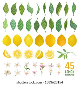 Set of watercolor elements of lemons, leaves and flowers for posters, summer vibrant banners, cover design templates, social media stories, spring wallpapers. Vector illustration