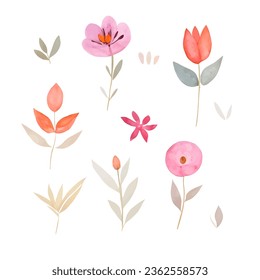 Set watercolor elements of pink flowers. Vector, Isolated on white background.