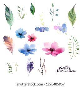 set of watercolor feathers leaves flowers fruits, elements for design pattern vegetable boho vector