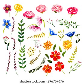 set of watercolor floral design elements. vector 