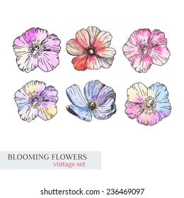 set of watercolor floral elements