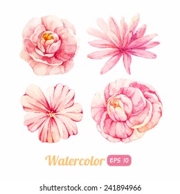 set of watercolor floral elements