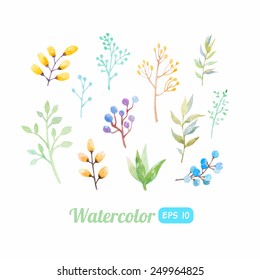 set of watercolor floral elements