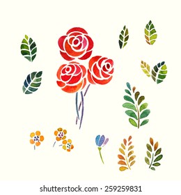 set of watercolor floral elements