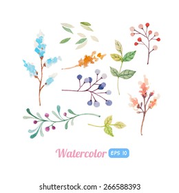 Set of watercolor floral elements for decoration