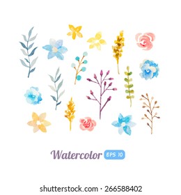 Set of watercolor floral elements for decoration
