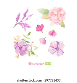 Set of watercolor floral elements for decoration