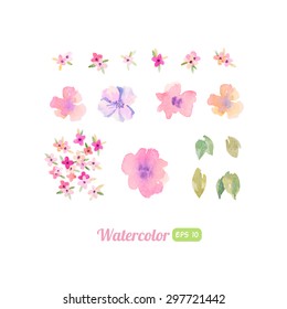 Set of watercolor floral elements for decoration