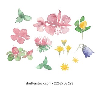 Set of watercolor floral elements. Flower and green leaves. Icons for your design 