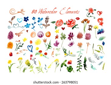 Set of Watercolor Floral Elements. Vector Illustration