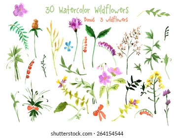 Conjunto de elementos florales de acuarela. Ilustración vectorial