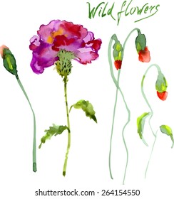 Set of Watercolor Floral Elements. Vector Illustration