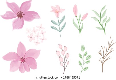 conjunto floridas acuarelas florales