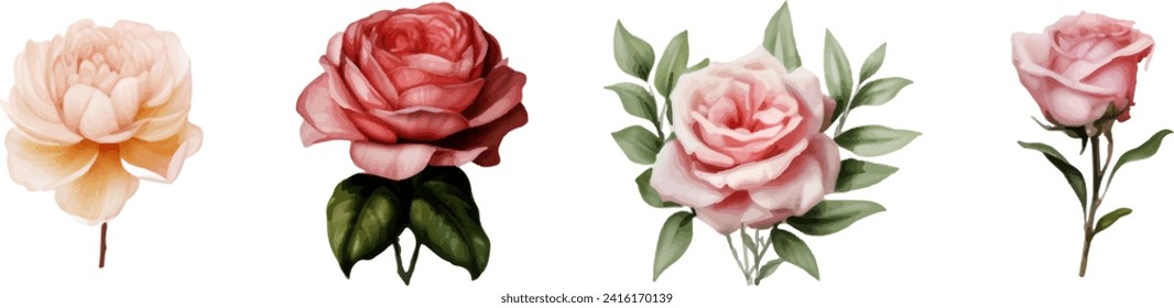 Set of watercolor floral on white background