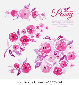 Set of watercolor floral peony elements for design. Paint collection. Spring pattern