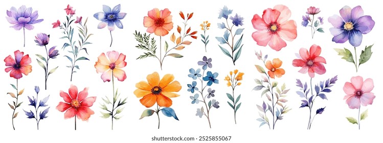 Set of watercolor flower illustration. Use by fabric, fashion, wedding invitation, template, poster, romance, greeting, spring, bouquet, pattern, decoration and textile