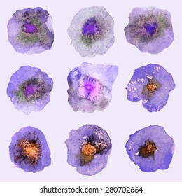 Set of Watercolor Flower. Modern Flower. Violet flowers. Vector hand drawn design illustration.