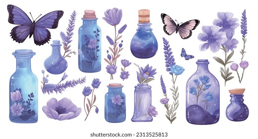 Conjunto de flores acuarelas hojas de planta de lavanda de jarra de aves aisladas en fondo blanco, ilustración de vectores de hierba natural orgánica