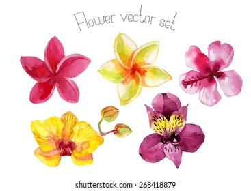 Set of watercolor flowers isolated on white background. Hand painted vector illustration