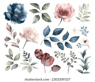 Set of watercolor flowers leaves and twigs on a white background