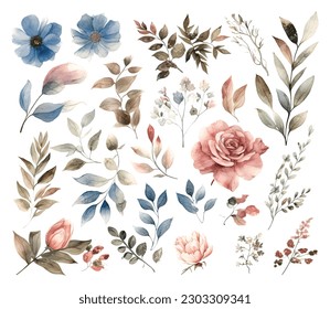 Set of watercolor flowers leaves and twigs on a white background