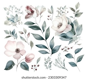 Set of watercolor flowers leaves and twigs on a white background