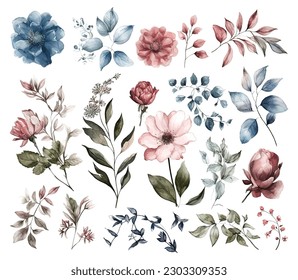 Set of watercolor flowers leaves and twigs on a white background