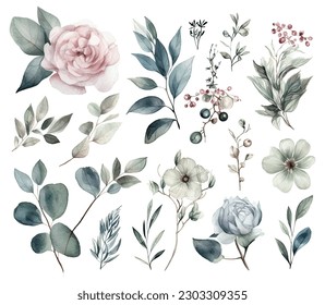 Set of watercolor flowers leaves and twigs on a white background