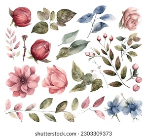 Set of watercolor flowers leaves and twigs on a white background