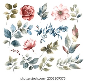 Set of watercolor flowers leaves and twigs on a white background