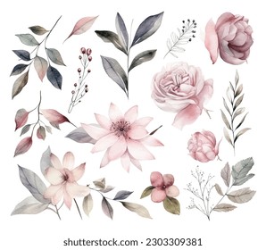 Set of watercolor flowers leaves and twigs on a white background