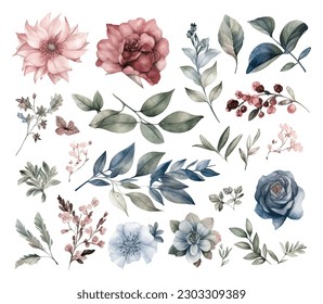 Set of watercolor flowers leaves and twigs on a white background