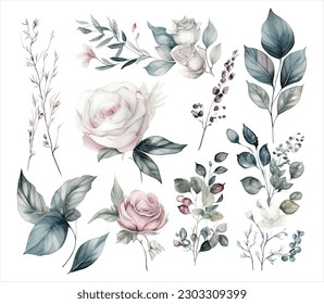 Set of watercolor flowers leaves and twigs on a white background