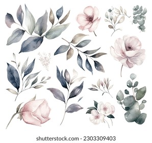 Set of watercolor flowers leaves and twigs on a white background