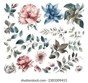 Set of watercolor flowers leaves and twigs on a white background