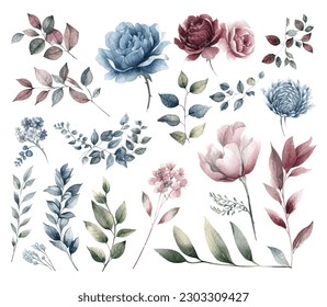 Set of watercolor flowers leaves and twigs on a white background