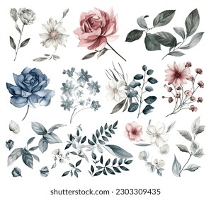 Set of watercolor flowers leaves and twigs on a white background