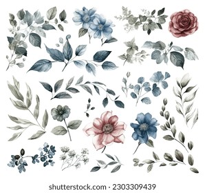 Set of watercolor flowers leaves and twigs on a white background