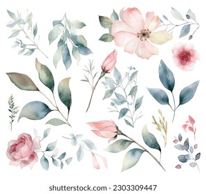 Set of watercolor flowers leaves and twigs on a white background