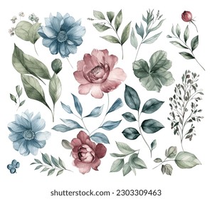 Set of watercolor flowers leaves and twigs on a white background