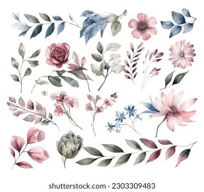 Set of watercolor flowers leaves and twigs on a white background