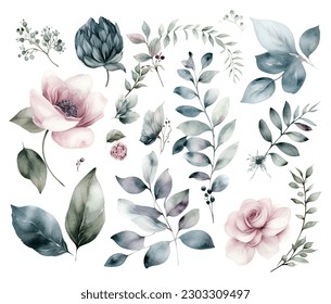 Set of watercolor flowers leaves and twigs on a white background